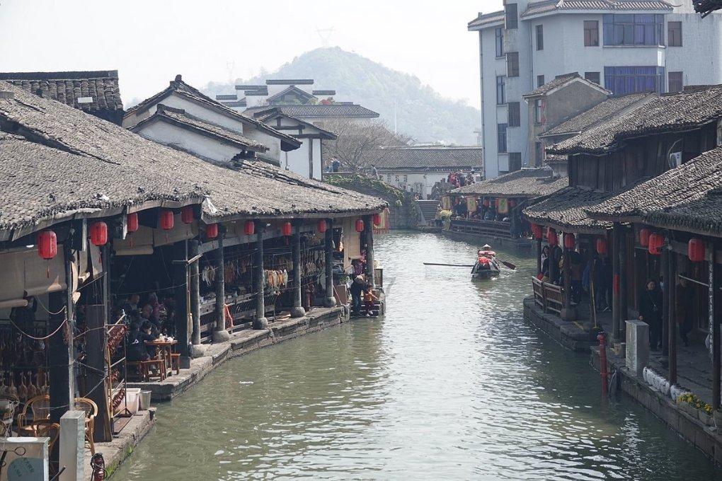 宁夏吴忠:赤麻鸭盘旋嬉戏,冬日黄河添灵动